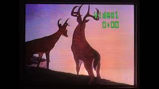 Bambi The Magic Behind Of Masterpiece 1992 VHS Bambi Great Prince On The Forest All 1992 Version 1 [upl. by Akere]