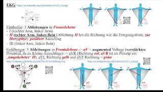 Herz 9 EKG 2  Ableitungen P und PQ [upl. by Minnnie]