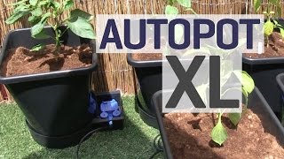 How To Set up an Autopot XL Gravity Fed Growing System [upl. by Lamej]