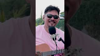 Castles In The Air  Don McLean Zaldy Realubitpba cover guitar pbalegend acoustic highlights [upl. by Nosila835]