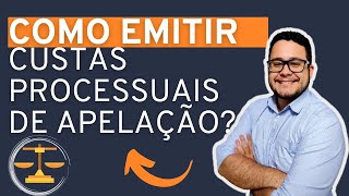 COMO EMITIR AS CUSTAS PROCESSUAIS DE RECURSO DE APELAÃ‡ÃƒO PREPARO RECURSAL TJSP [upl. by Yojal868]