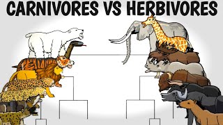 CARNIVORES VS HERBIVORES TOURNAMENT  ANIMATION [upl. by Nichol]