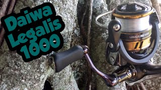 Unboxing Testing and Reviewing the Daiwa Legalis LT 1000D Ultralight Spinning Reel [upl. by Sacks286]