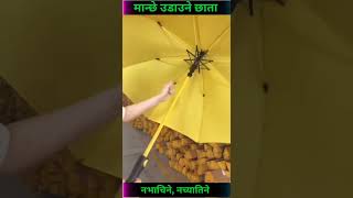 मान्छे धान्ने Strong umbrella  rameshsaru5912 facts shorts short [upl. by Harrell]