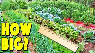 How Much To Plant For A Family Of 4 To Be Self Sufficient 7 Factors That WILL Impact Garden Size [upl. by Acassej]