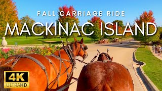 Mackinac Island Fall Carriage Ride  Soothing Clip Clop of Horse Hooves on a Tranquil Nature Trail [upl. by Hillery]