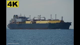 PALU LNG  Shipspotting Germany 🇩🇪 IMO 9636735  River Elbe near City Otterndorf  4K VIDEO [upl. by Uriiah602]