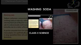 Class 10 Science Acids Bases and Salts I WASHING SODA [upl. by Minni111]