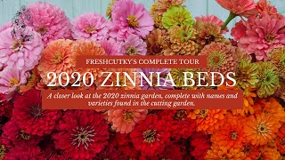 ZINNIAS FULL TOUR  What Zinnias Are You Growing This Year Flower Harvest Benarys Giant Zinnias [upl. by Solomon]