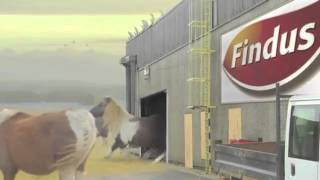 Findus Pony Advert [upl. by Mikol]