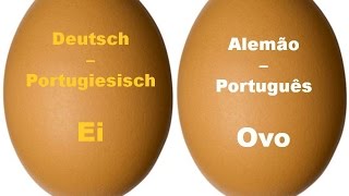 🐣Einfache Sätze auf Portugiesisch  die Eier  Frases básicas em alemão  os ovos [upl. by Schilit210]