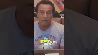 Arnold Schwarzenegger Unlocking the Key to Fat Loss  Its Not Just About Abs [upl. by Fayette]