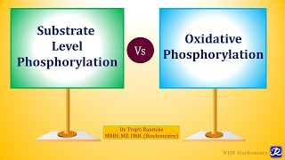 What is Phosphorylation [upl. by Yeltnarb]