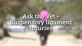 Ask the Vet  Suspensory ligament injuries [upl. by Eninaej]