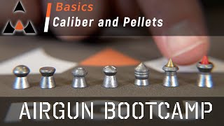 Airgun Pellet Calibers and Types  Airgun Bootcamp [upl. by Ornie]