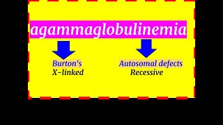 Burtons agammaglobulinemia [upl. by Revlys]