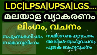 നിപ്പക്കുള്ള മരുന്ന് മലയാളിയുടെ കൈയിൽ  Health Tips [upl. by Isnyl]