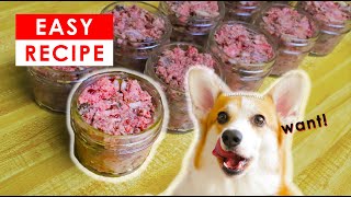 BEST HOMEMADE RAW DOG FOOD RECIPES  MADE EASY [upl. by Eiramnwad]