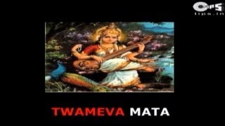 Twameva Mata Cha Pita Twameva with Lyrics  Jagjit Singh  Daily Prayer  Slok [upl. by Jilly]