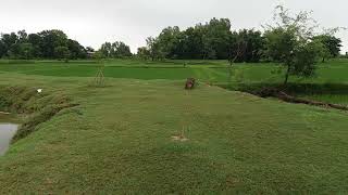 Beautiful view of pond of terai region of Nepal [upl. by Clevey]