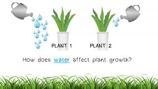 The Scientific Method Part 2 Variables and Hypothesis [upl. by Earased]