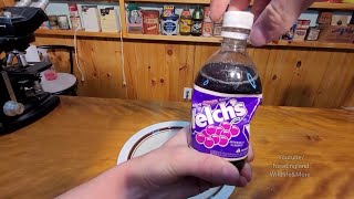 Drinking 1980s Welchs Grape Soda How Did It Hold Up Over The Years [upl. by Canada]