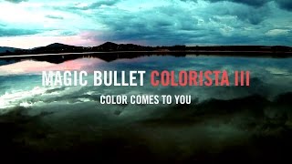 MAGIC BULLET COLORISTA III [upl. by Ylnevaeh]