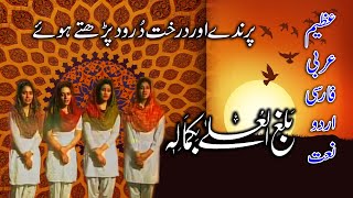 Great Arabic Persian Urdu Naat Balaghal Ula Be Kamalehi  Deerooz Dar  Sheikh Saadi  Naat amp Darood [upl. by Hasty]