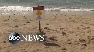 Swimmer dies from shark attack [upl. by Hatcher]