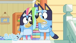 Season 3 Full Episodes  Bluey [upl. by Ahsikat]