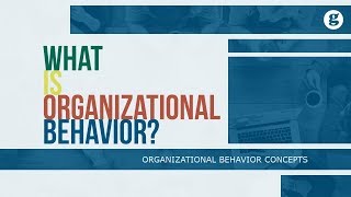 What is Organizational Behavior [upl. by Arundell]