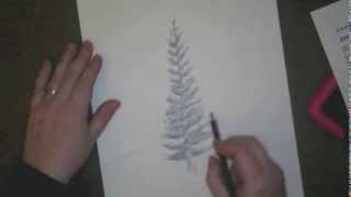 How to Draw Pine Trees [upl. by Mecke373]