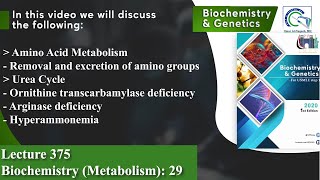 Amino Acid Metabolism  Urea Cycle  Ornithine transcarbamylase deficiency  Hyperammonemia [upl. by Stets]