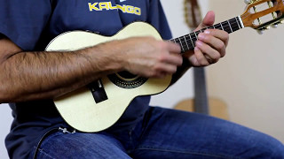 Cavaquinho Classico eléctrico  Rozini A316021  kalangocom [upl. by Eteragram]