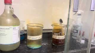 01  Copper and brass reaction with conc HNO3 [upl. by Olsewski]