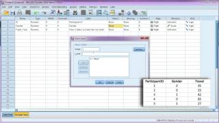 Enter data and define variables in SPSS [upl. by Steffi]