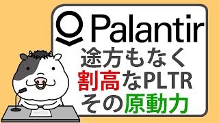 途方もなく割高なパランティア株。その原動力【20241227】 [upl. by Savadove]