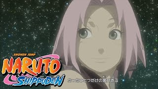 Naruto Shippuden  Ending 22  Shout This Voice Dry [upl. by Yxel759]