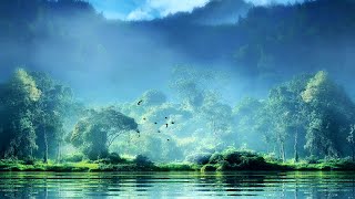 Background Video Pemandangan Alam  Danau Indah 03  HD No Copyright [upl. by Allayne602]