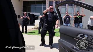 Santa Paula Police In My Feelings Challenge Keke Do You Love Me Challenge [upl. by Notirb]