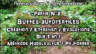 PERMACULTURE Ep2 Suite CRÉATION ENTRETIEN amp ÉVOLUTIONS BUTTES HUGELKULTUR  PH FORRER SUR 1 AN [upl. by Penman]