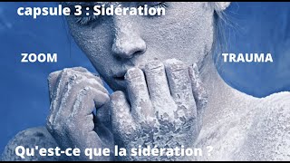 3  Questce que la Sidération traumatique  LAgressée [upl. by Norahc]