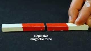 Video Lab Magnetic forces [upl. by Yrolg]