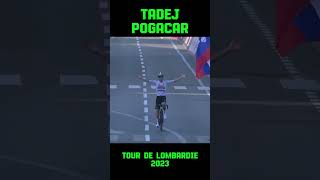 Tadej Pogaçar  Tour de Lombardie 2023 [upl. by Rednazxela]