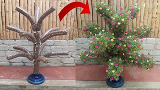 Creative Garden Ideas  DIY beautiful Portulaca Mossrose plant shaped garden from plastic bottles [upl. by Wakefield]