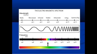 RADS201 Bushong  Essential Concepts of Radiologic Science  Part 1 [upl. by Luhey]