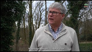 Leendert Molendijk Stichting Wageningen Research [upl. by Gnuhc]