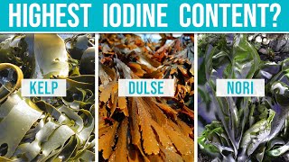 SEAWEED IODINE CONTENT  comparison of 9 types of seaweed [upl. by Whitehurst806]