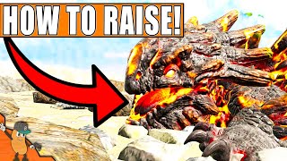 How To Raise amp Feed Magmasaur On Ark Lost Island UPDATED [upl. by Emersen74]