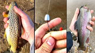 BEST Stocked Trout Setup for Beginners No Live WORMS Needed [upl. by Deeas]